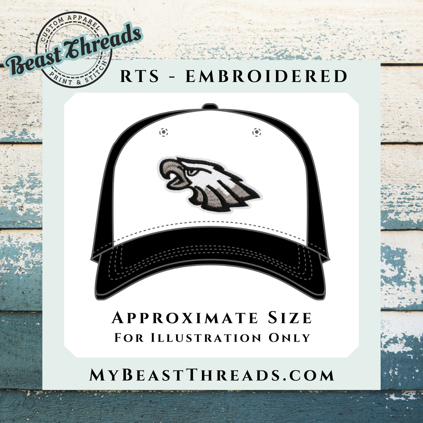 Philly Eagles Embroidered Patch- RTS