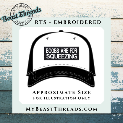 Boob Squeeze Embroidered Patch- RTS