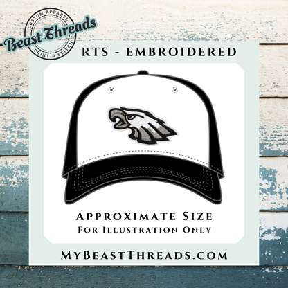 Philly Eagles Embroidered Patch- RTS